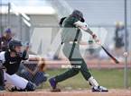 Photo from the gallery "Falcon @ Windsor"