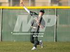Photo from the gallery "Falcon @ Windsor"
