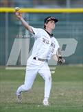 Photo from the gallery "Falcon @ Windsor"