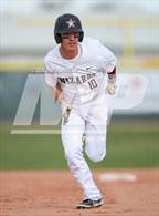 Photo from the gallery "Falcon @ Windsor"
