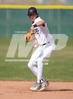Photo from the gallery "Falcon @ Windsor"