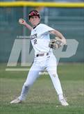 Photo from the gallery "Falcon @ Windsor"