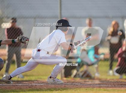 Thumbnail 2 in Falcon @ Windsor photogallery.