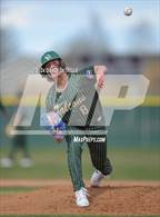 Photo from the gallery "Falcon @ Windsor"
