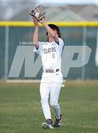 Photo from the gallery "Falcon @ Windsor"
