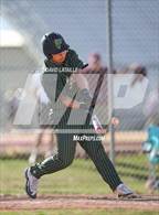 Photo from the gallery "Falcon @ Windsor"