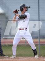 Photo from the gallery "Falcon @ Windsor"