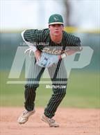 Photo from the gallery "Falcon @ Windsor"