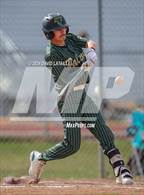 Photo from the gallery "Falcon @ Windsor"