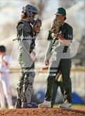Photo from the gallery "Falcon @ Windsor"