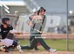 Photo from the gallery "Falcon @ Windsor"