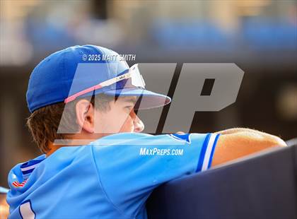 Thumbnail 1 in Springboro vs. Olentangy (OHSAA Division 1 Final) photogallery.