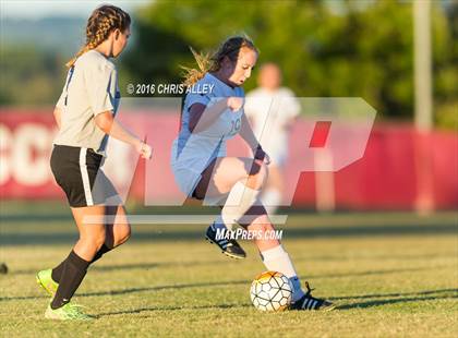 Thumbnail 2 in David Crockett @ Dobyns-Bennett photogallery.