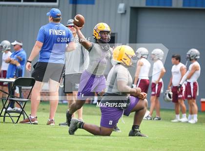 Thumbnail 3 in Cleveland Central vs Desoto Central (U of Memphis 7v7) photogallery.
