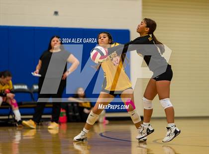 Thumbnail 3 in Brennan @ Harlan photogallery.