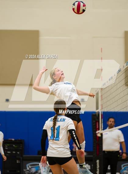 Thumbnail 3 in Brennan @ Harlan photogallery.