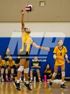 Photo from the gallery "Brennan @ Harlan"