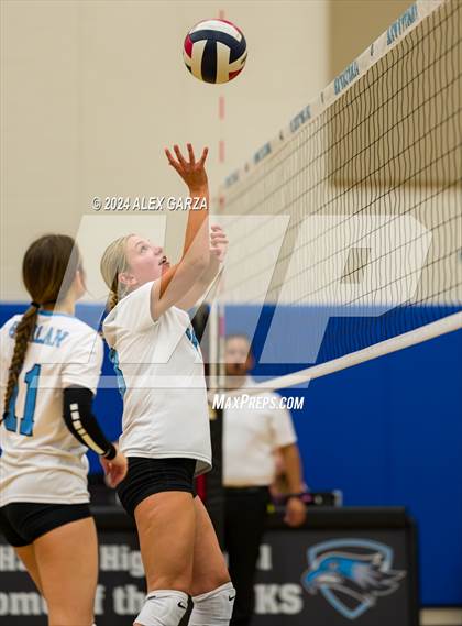 Thumbnail 1 in Brennan @ Harlan photogallery.