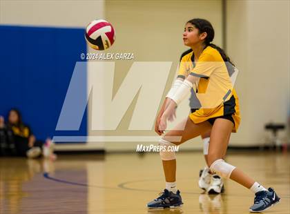 Thumbnail 2 in Brennan @ Harlan photogallery.