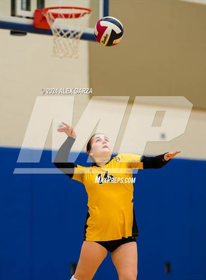 Thumbnail 2 in Brennan @ Harlan photogallery.