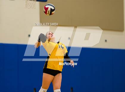 Thumbnail 3 in Brennan @ Harlan photogallery.