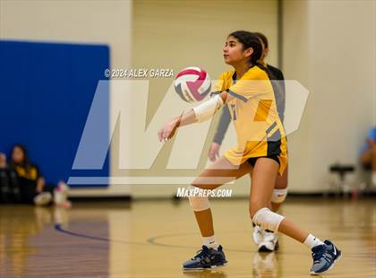 Thumbnail 3 in Brennan @ Harlan photogallery.