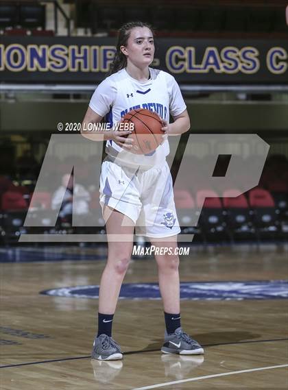 Thumbnail 3 in Haldane vs. The Leffell School (Section 1 Class C Semifinal) photogallery.