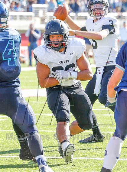Thumbnail 3 in Pine View vs Juan Diego Catholic (UHSAA 3AA Semifinal) photogallery.