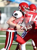 Photo from the gallery "Terra Nova @ Burlingame"