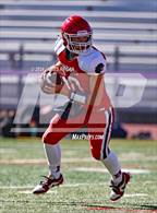 Photo from the gallery "Terra Nova @ Burlingame"