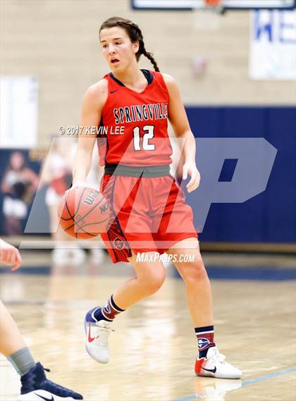 Thumbnail 3 in Springville @ Salem Hills photogallery.