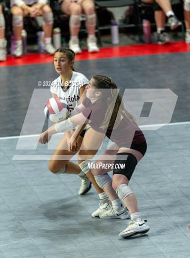 null - Photo 31