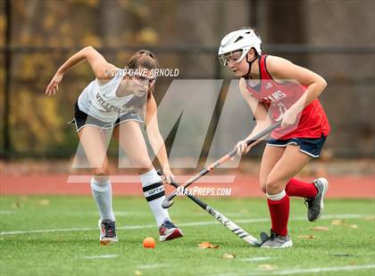 Thumbnail 2 in Bridgewater-Raynham @ Wellesley (MIAA Divison 1 South Preliminary Round) photogallery.