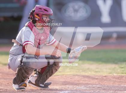 Thumbnail 2 in Kofa @ Youngker photogallery.
