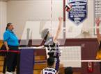 Photo from the gallery "Del Oro @ Franklin"