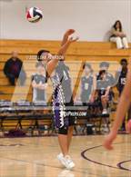 Photo from the gallery "Del Oro @ Franklin"