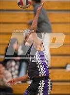 Photo from the gallery "Del Oro @ Franklin"