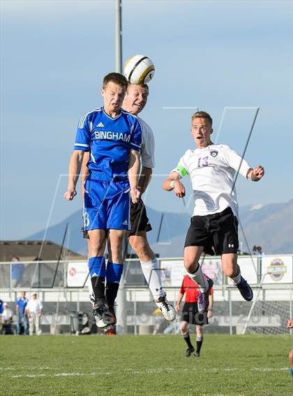 Thumbnail 3 in Bingham @ Riverton photogallery.
