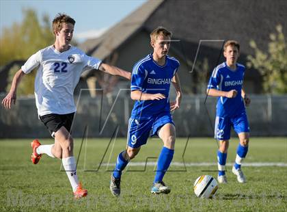 Thumbnail 1 in Bingham @ Riverton photogallery.