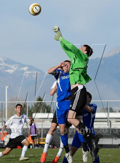 Thumbnail 3 in Bingham @ Riverton photogallery.