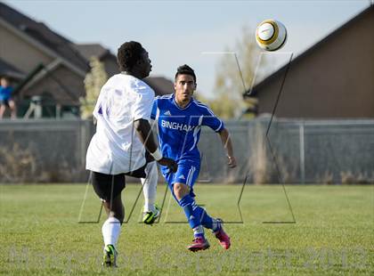 Thumbnail 1 in Bingham @ Riverton photogallery.