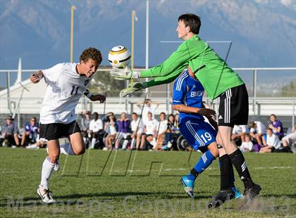 Thumbnail 1 in Bingham @ Riverton photogallery.