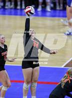Photo from the gallery "Wiggins vs. Ignacio (CHSAA 2A Second Round)"