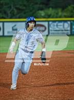 Photo from the gallery "Parrish Community @ Venice"