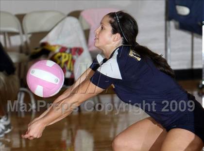 Thumbnail 1 in Allen vs. Stony Point (Pearland Volleyball Classic) photogallery.