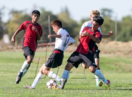 Thumbnail 1 in Mira Loma @ Bella Vista photogallery.