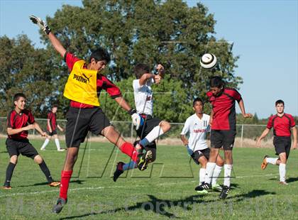 Thumbnail 3 in Mira Loma @ Bella Vista photogallery.
