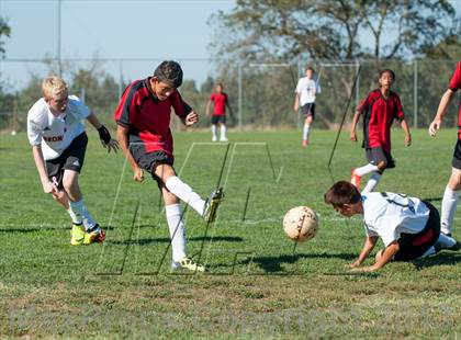 Thumbnail 1 in Mira Loma @ Bella Vista photogallery.