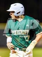 Photo from the gallery "Terry Sanford @ Pinecrest"