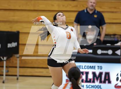 Thumbnail 1 in Fresno @ Selma photogallery.